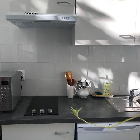 Villa Camelia Grand Studio Quartier Thermal Виши Екстериор снимка